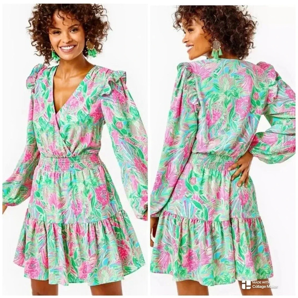Lilly Pulitzer Colorful Taviana Stretch Dress Size 2 - Picture 1 of 7